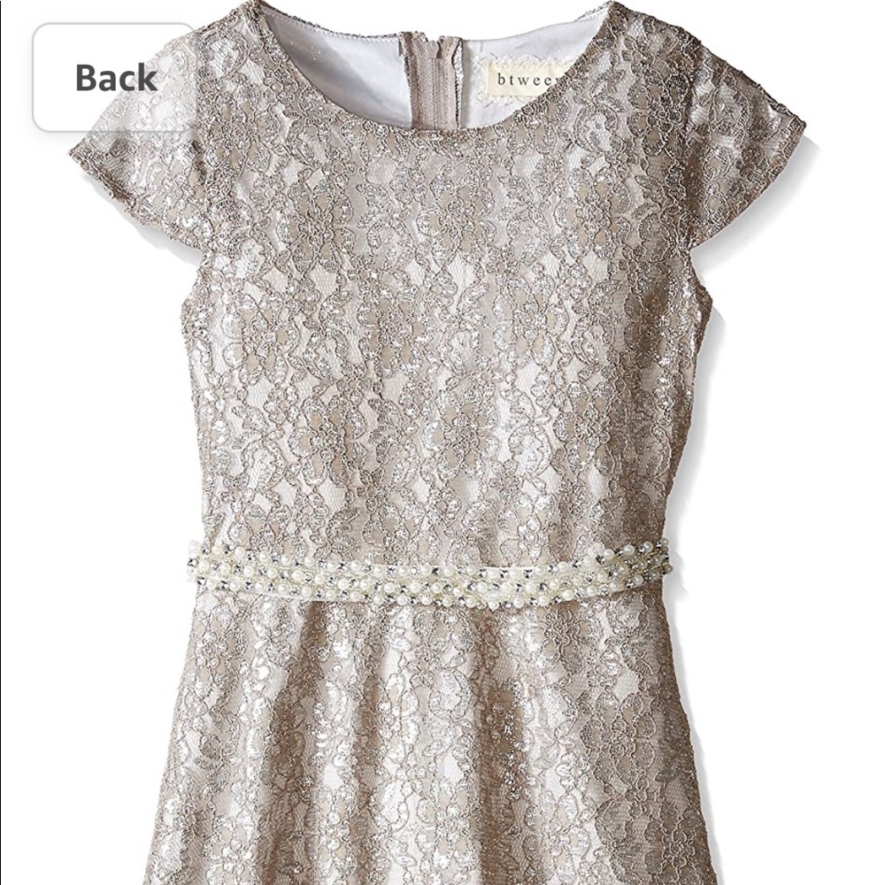 Champagne/Silver Metallic Dress, Embellished Belt